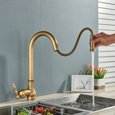 Antique  Kitchen Faucet