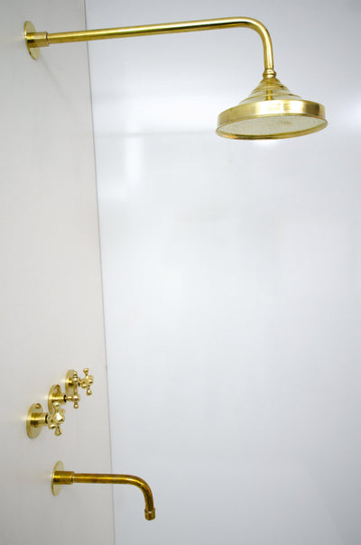 Antique Brass Shower Fixtures