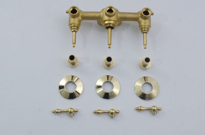 Unlacquered Brass Shower  Rain Shower Set